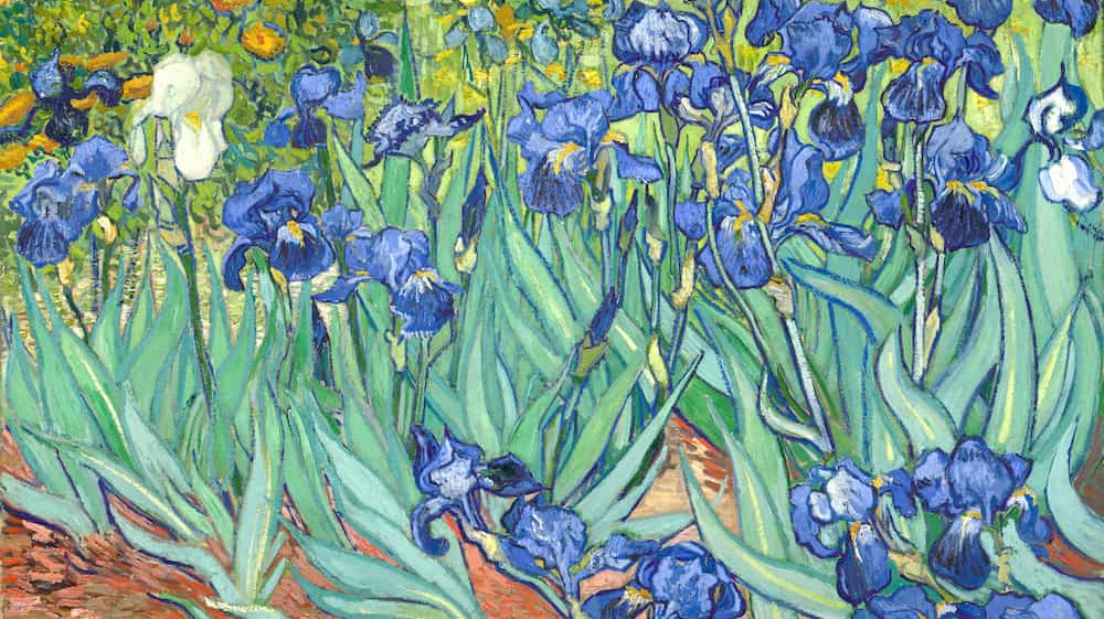Irises, Vincent van Gogh