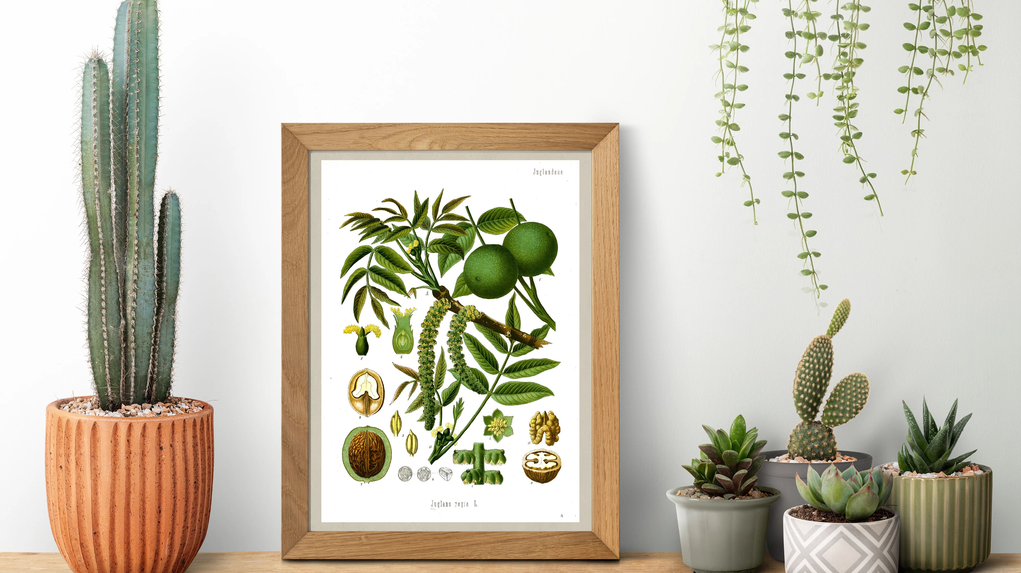 How to Choose Kitchen Wall Art