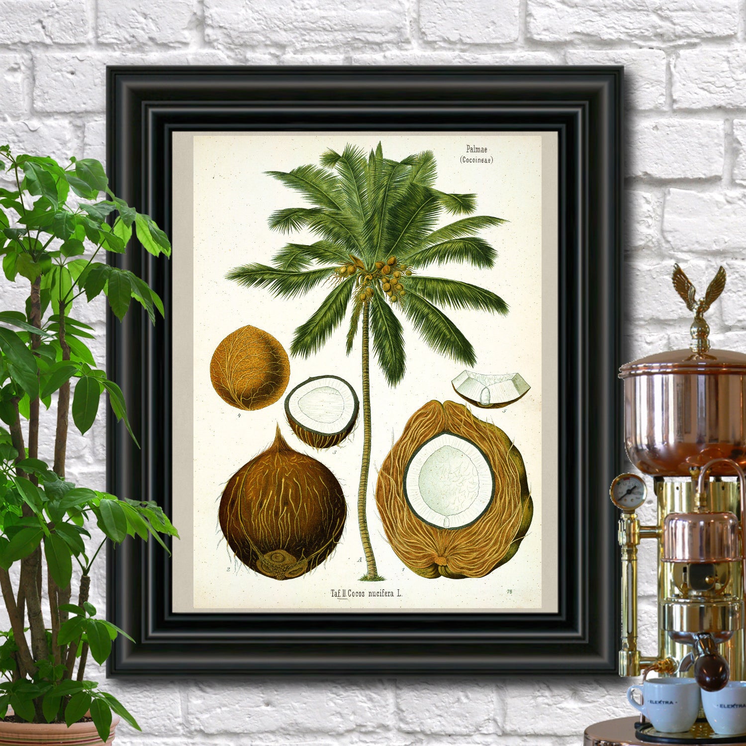 Botanical Prints at galleryThane