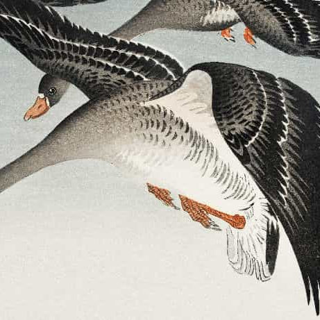 Ohara Koson paintings