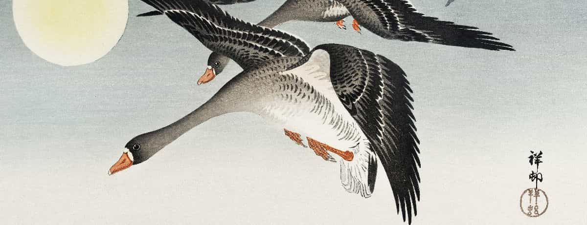 Ohara Koson paintings