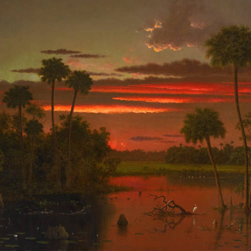 Martin Johnson Heade Paintings