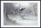 Blackcock And Grouse In Flight – Winter, Archibald Thorburn, Birds Print