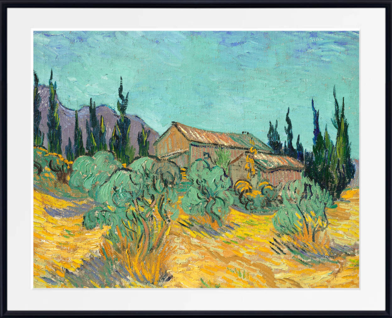 Vincent van Gogh Print, Wooden huts among olive and cypress trees (1889)