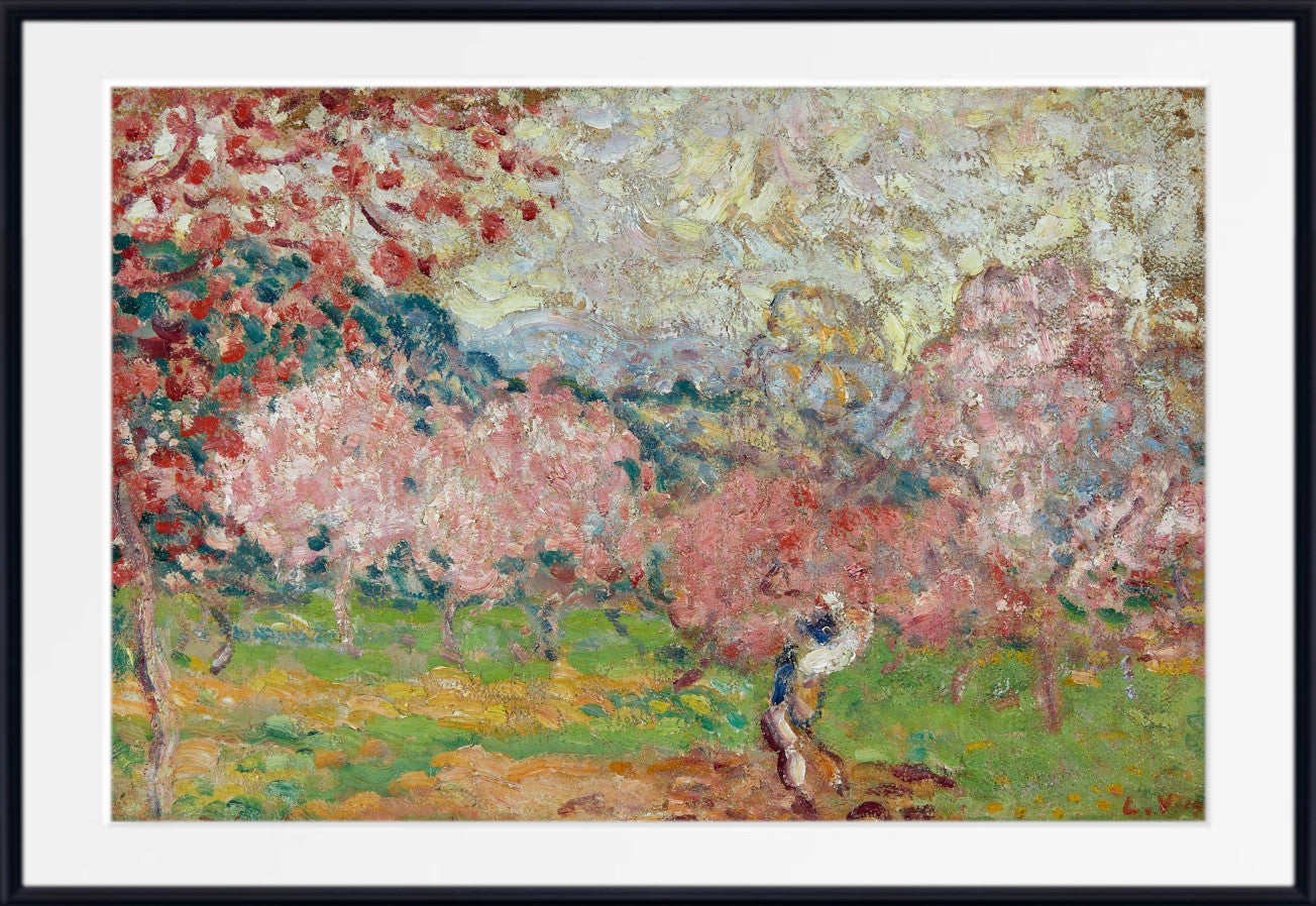Cherry blossoms, Cagnes (1903) by Louis Valtat