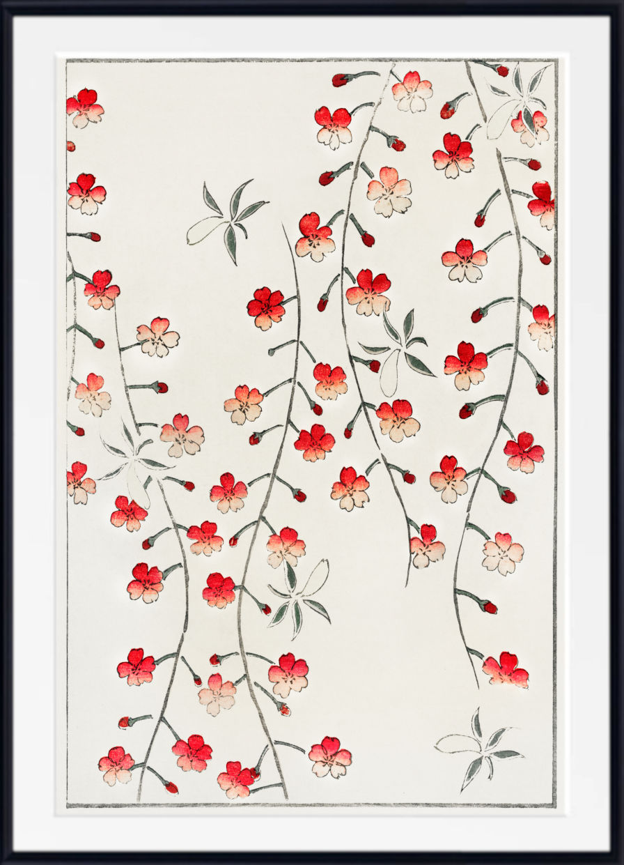 Framed botanical art print featuring delicate red and pink flowers with green leaves on a cream background, enclosed in a black frame with a white mat.