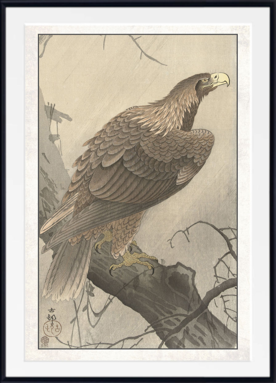A framed Japanese-style art print depicting a large eagle perched on a tree branch, with a white mat and black frame.