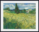 Green Field by Vincent van Gogh