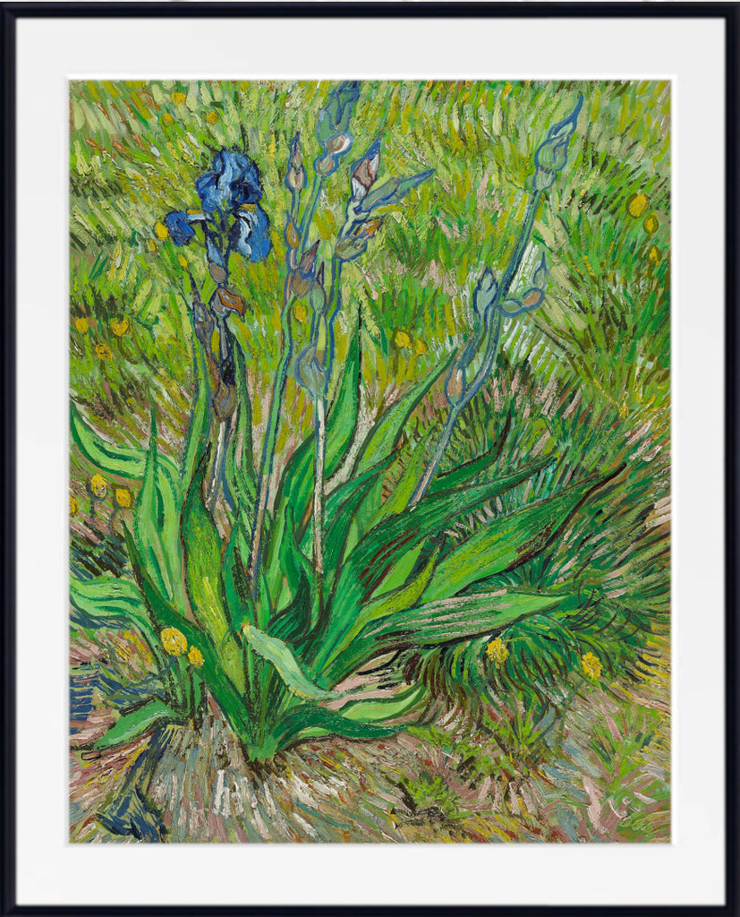 Iris (1889) by Vincent van Gogh