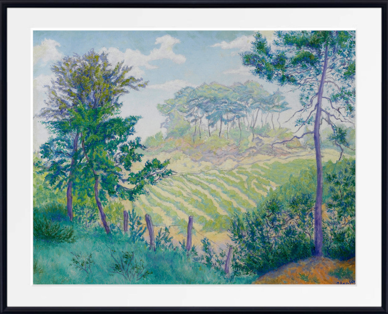 Vineyards under the pines (1896) by Paul Ranson