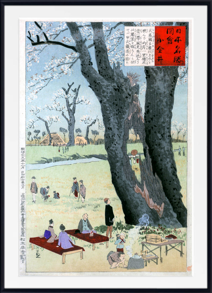 A framed Japanese woodblock-style art print depicting a park scene with large dark trees, blooming cherry blossoms, people sitting and walking, and a red text panel in the upper right. The print is shown with a white mat and black frame.