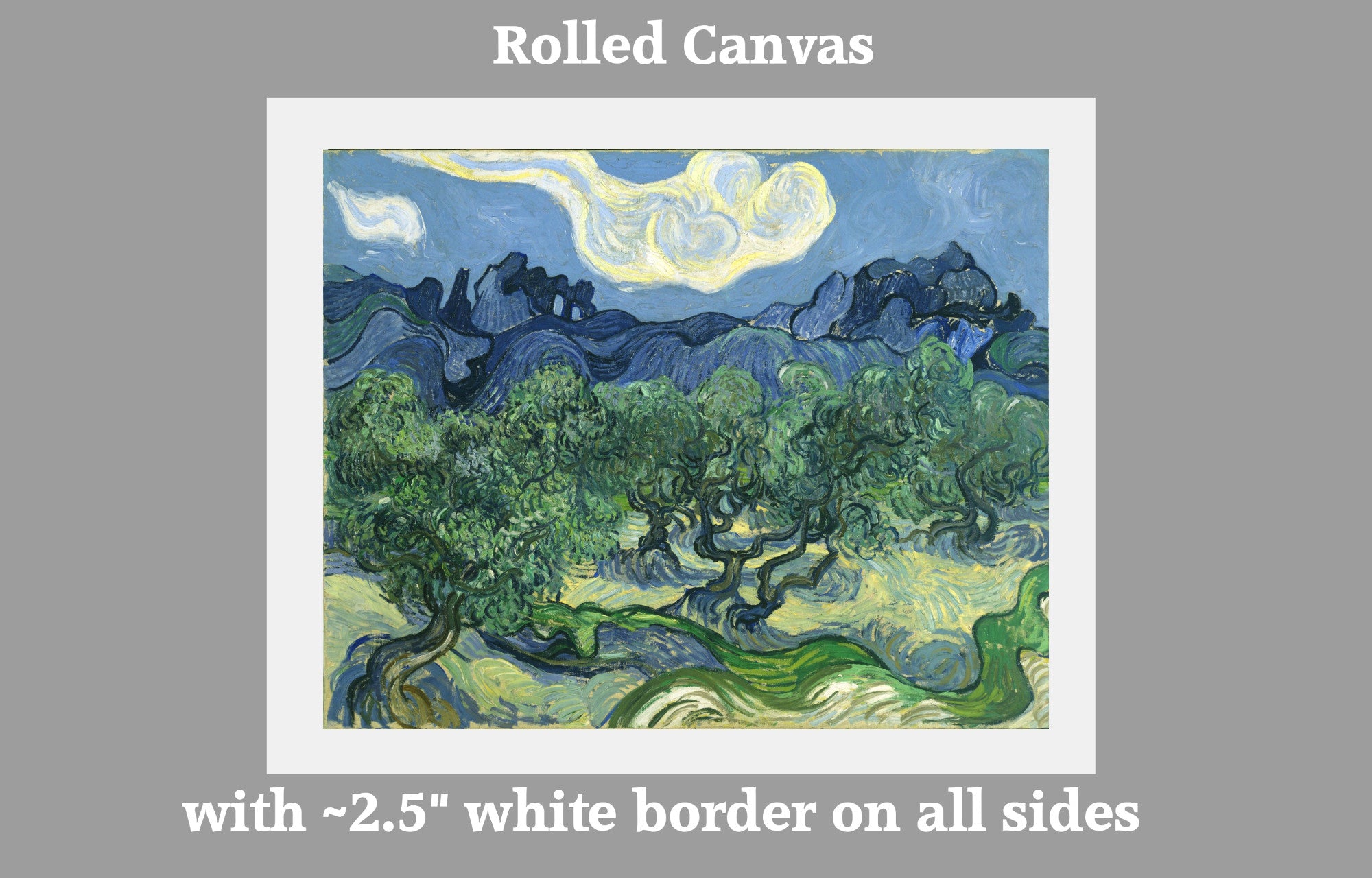 Vincent Van Gogh Fine Art Print, Olive Trees with the Alpilles in the Background