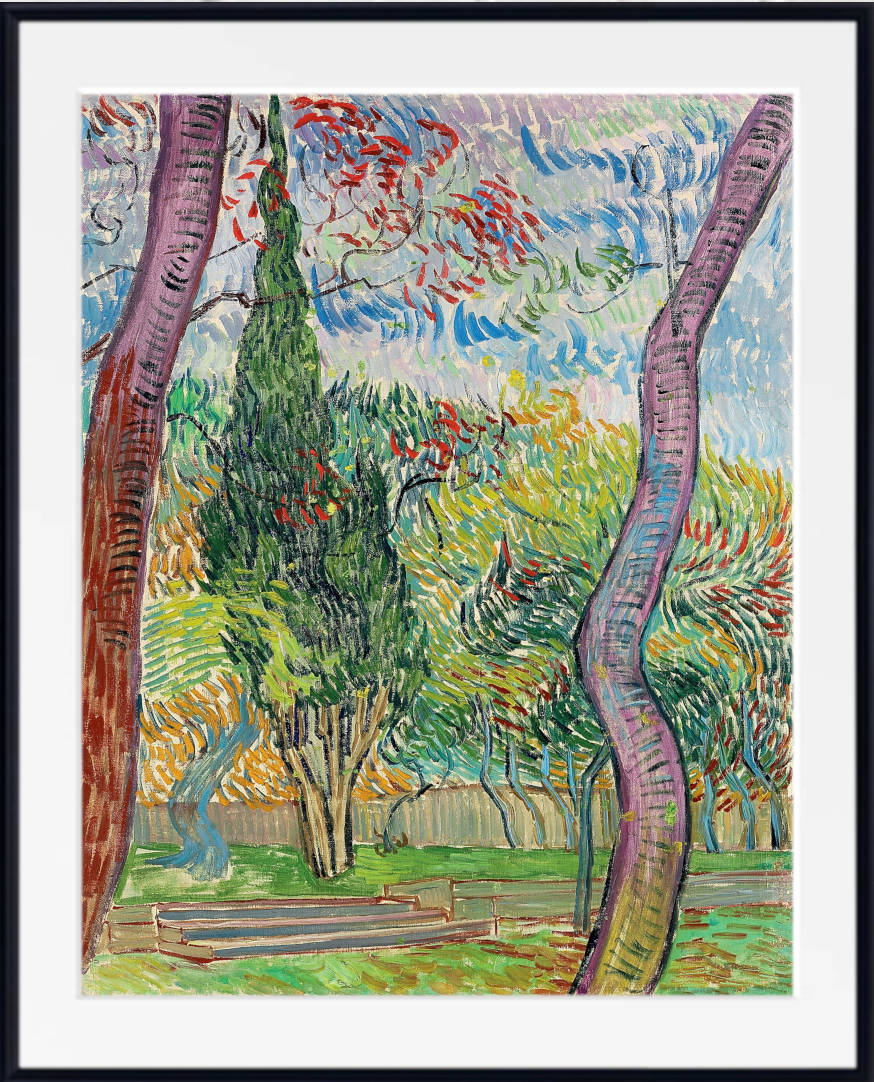 Vincent van Gogh Print, Saint-Paul Hospital Park