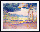Pines Along the Shore by Henri-Edmond Cross