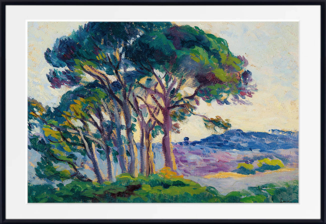 Maximilien Luce Print, Pines with Cinnamon Trees (1903)