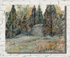 Red Cedars and Rocks by Robert Reid