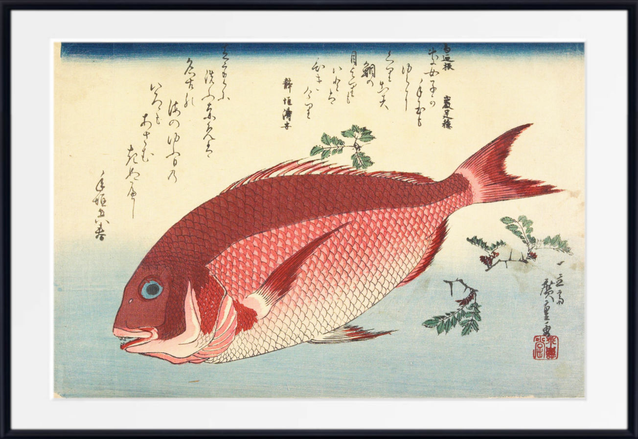 A framed Japanese-style fish print featuring a large red fish with blue eye and green leaf details on a pale blue and cream background, surrounded by a white mat and black frame.