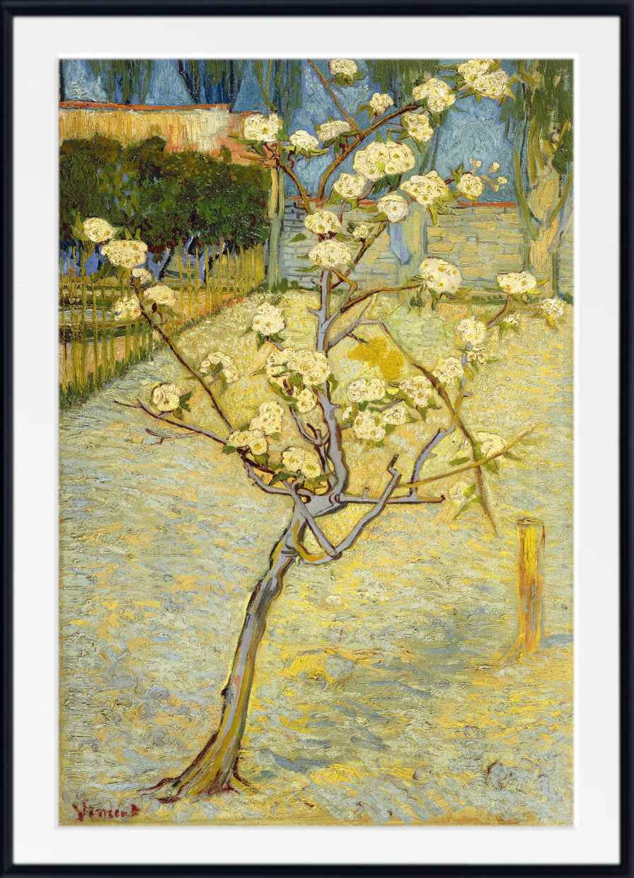 Vincent van Gogh Print, Small pear tree in blossom (1888)