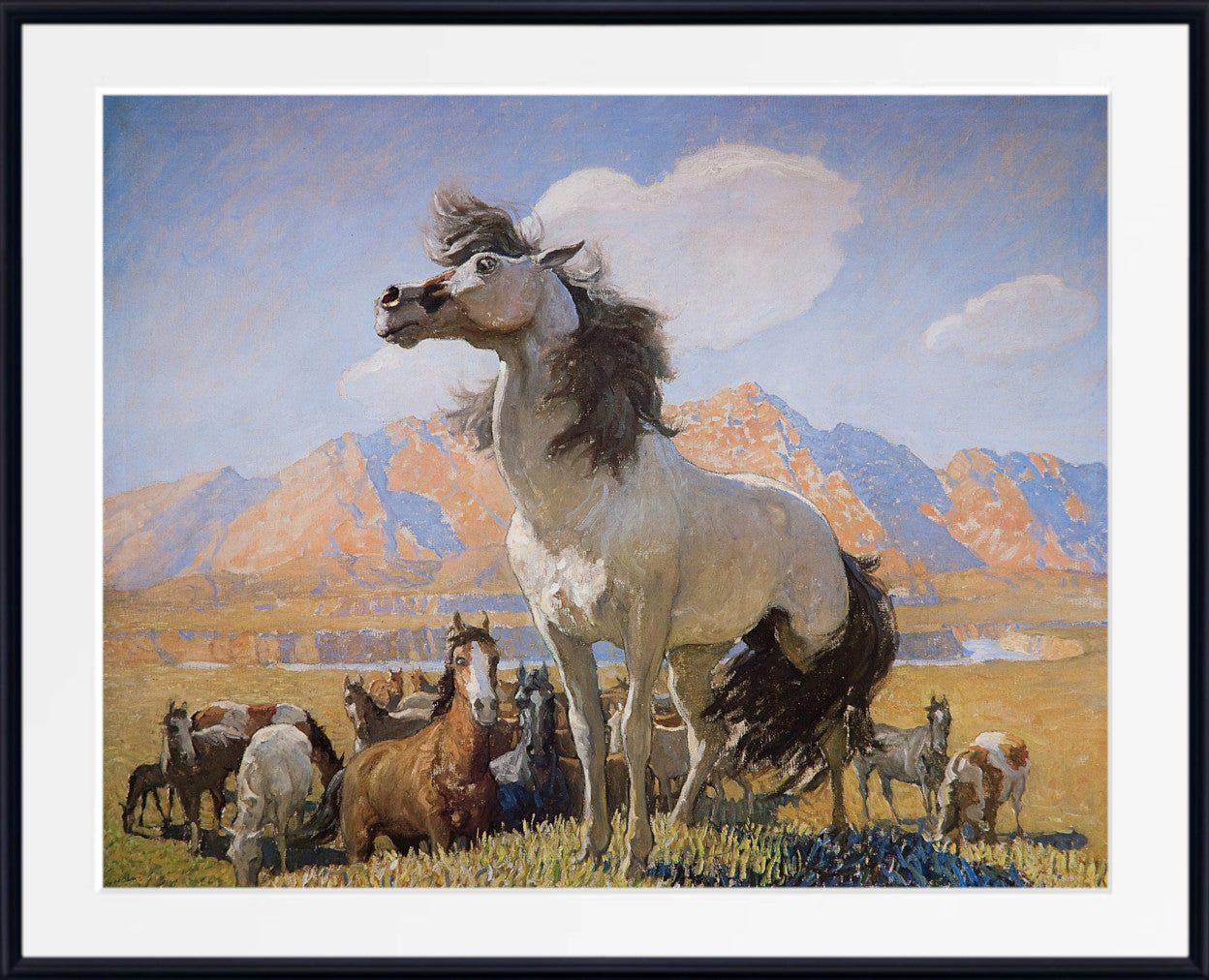 Smokey Face by N. C. Wyeth