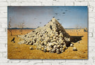 The Apotheosis of War (1871) by Vasily Vereshchagin