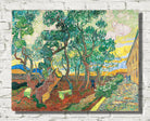 Vincent van Gogh Print, The Garden of Saint-Paul Hospital