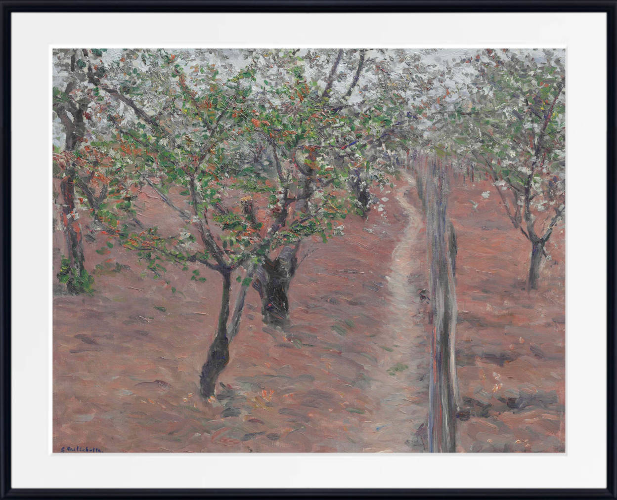 Gustave Caillebotte Fine Art Print : Orchard, flowering trees, Petit Gennevilliers
