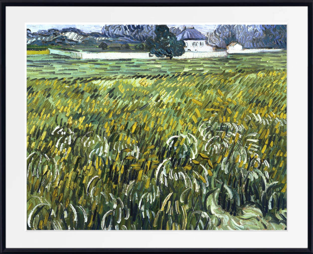 Vincent Van Gogh Fine Art Print, Wheat Field at Auvers with White House