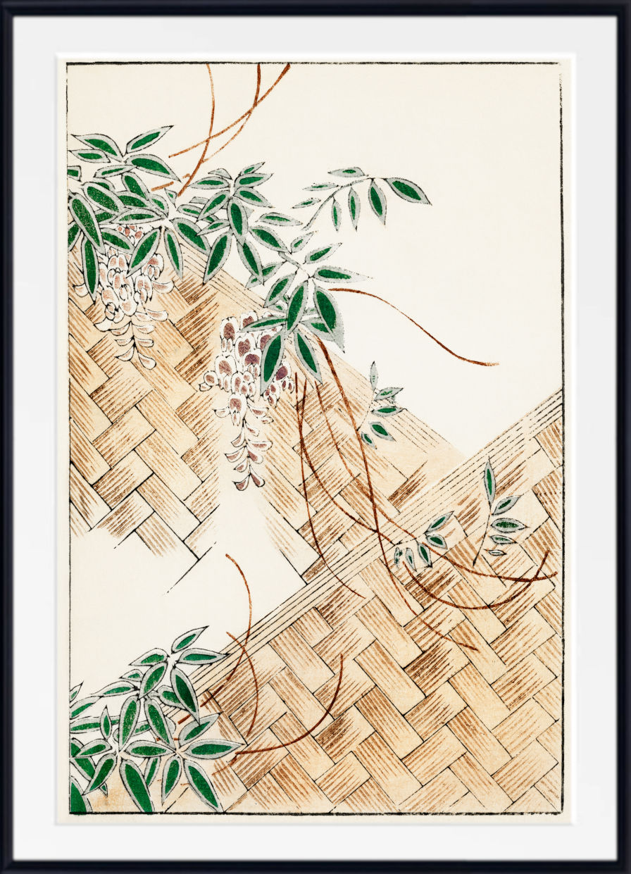 A framed art print featuring a traditional Japanese-style illustration of green wisteria flowers and leaves climbing over a woven straw wall, set against a cream background with a white mat and a black frame.