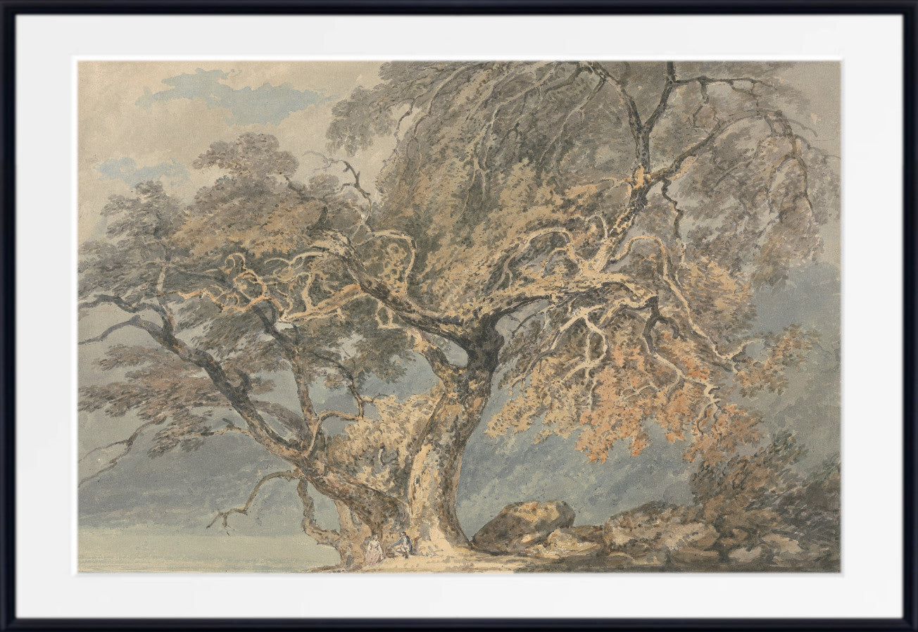 A Great Tree (1796) by Joseph Mallard William Turner