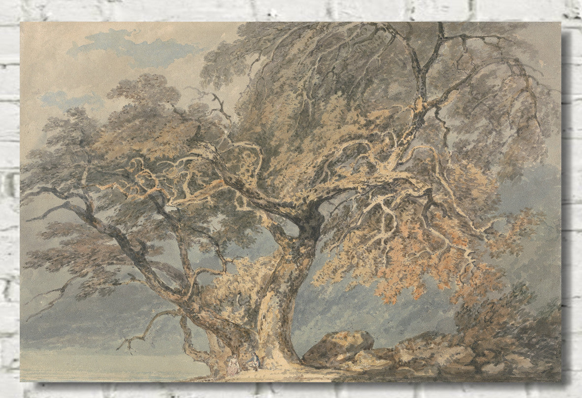 A Great Tree (1796) by Joseph Mallard William Turner