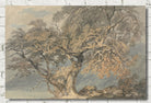 A Great Tree (1796) by Joseph Mallard William Turner