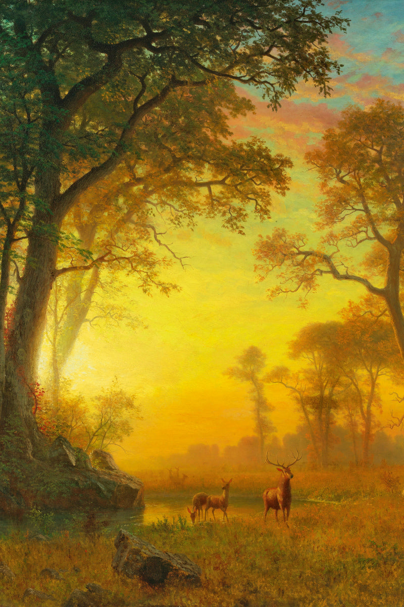 Albert Bierstadt Print, Albert Bierstadt - Light in the Forest as an unframed print
