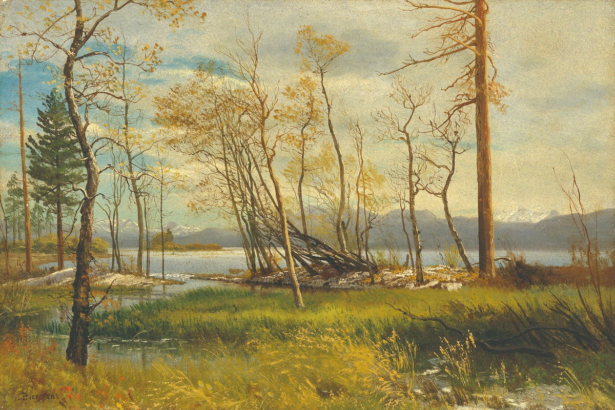 Albert Bierstadt Print, Lake Tahoe (1872) as an unframed print