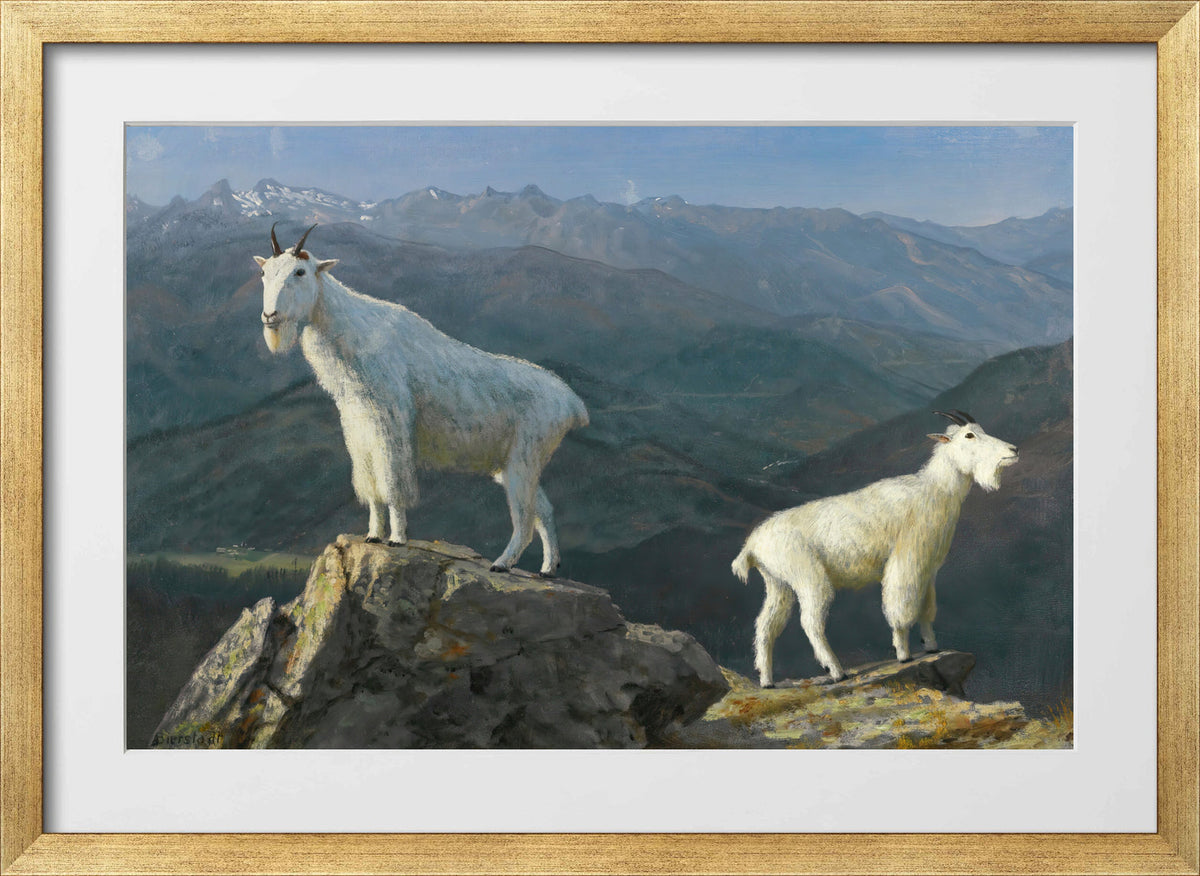 Albert Bierstadt Print, Mountain goats in a gold frame