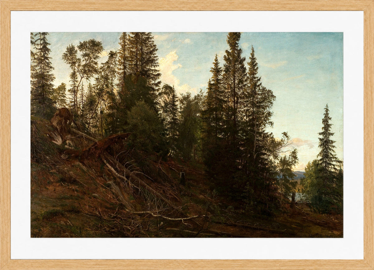 Amaldus Nielsen Print, Vingeråsheia, Telemark (1866) in a light oak frame