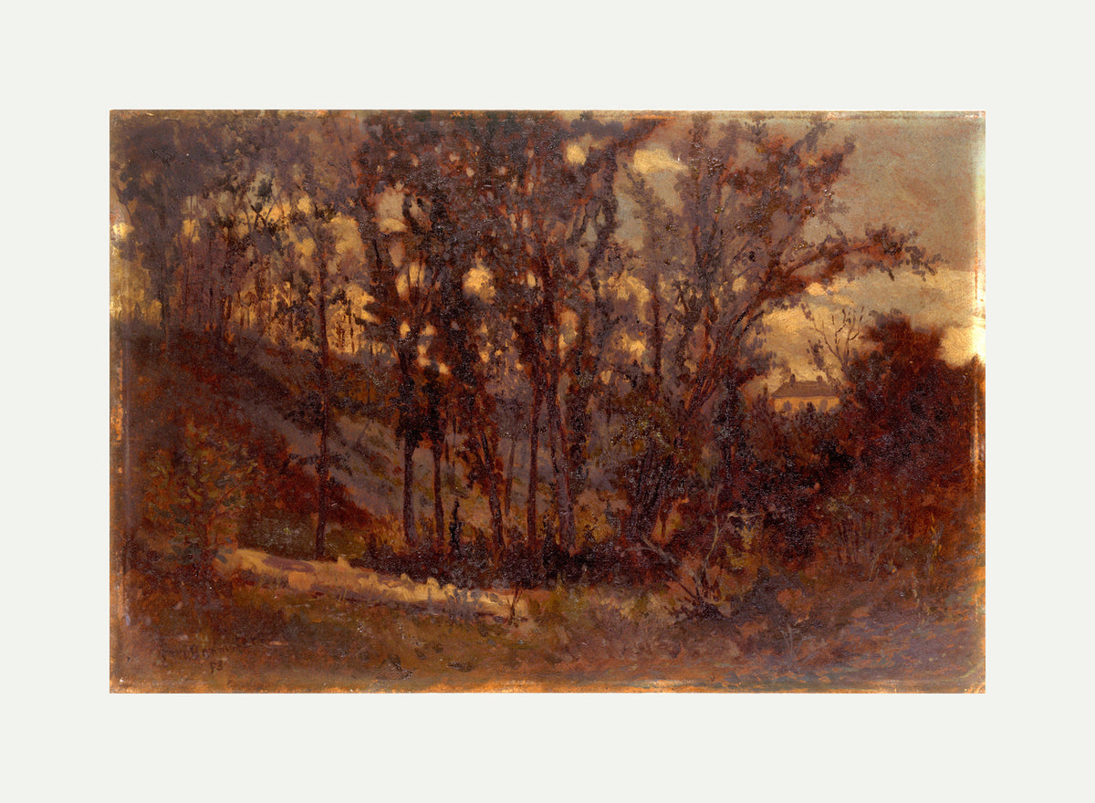Edward Mitchell Bannister Print, Untitled (Forest Scene with a Fallen Tree) (1873) — rolled canvas