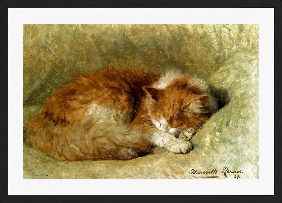 A Sleeping Cat (1898) by Henriette Ronner-Knip β black frame