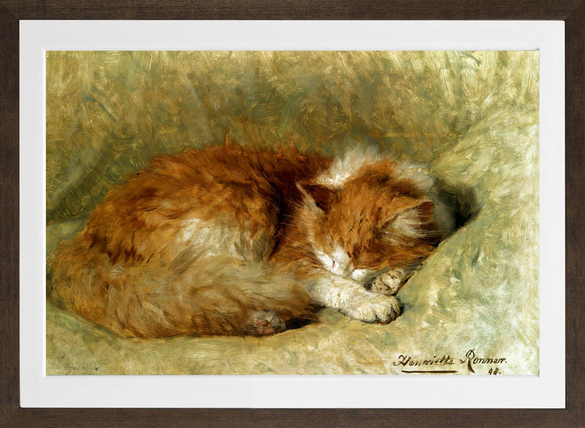A Sleeping Cat (1898) by Henriette Ronner-Knip β brown frame