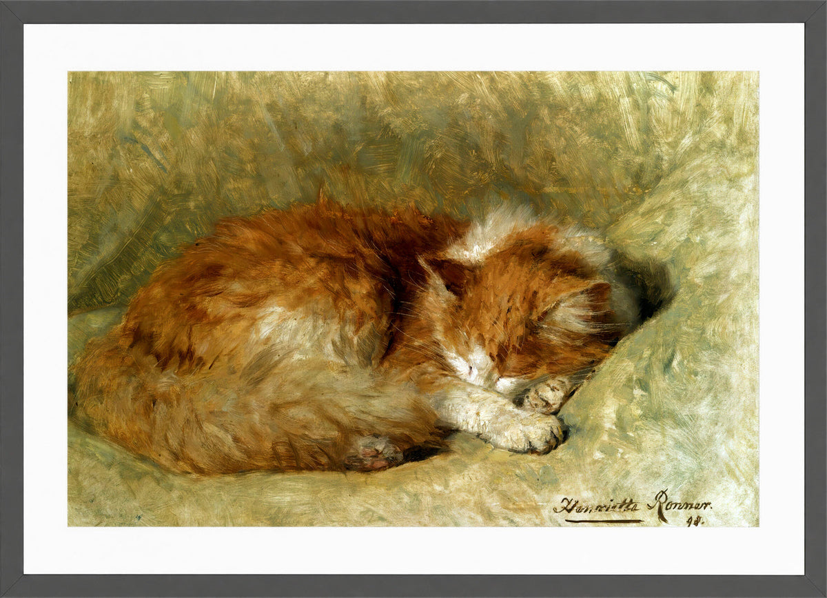 A Sleeping Cat (1898) by Henriette Ronner-Knip β dark grey frame