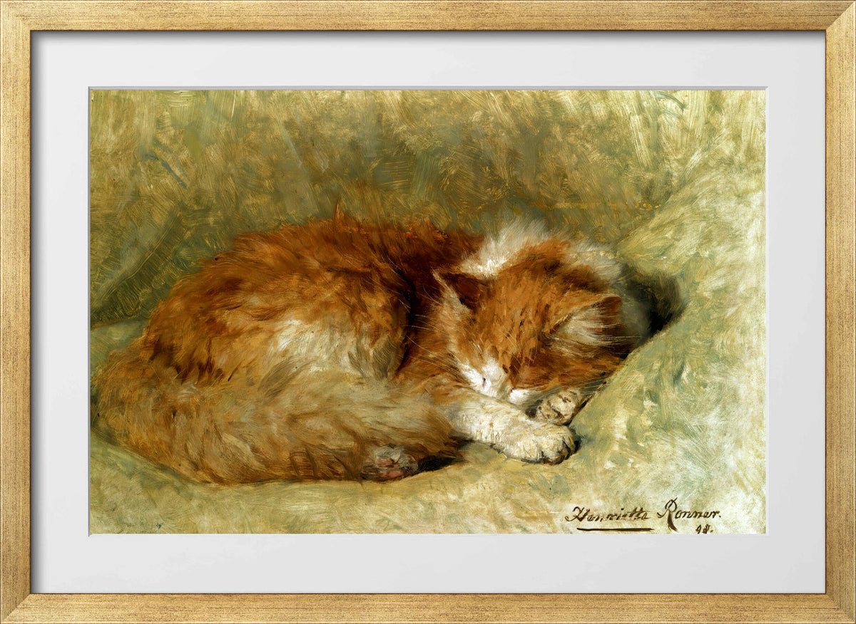 A Sleeping Cat (1898) by Henriette Ronner-Knip β gold frame