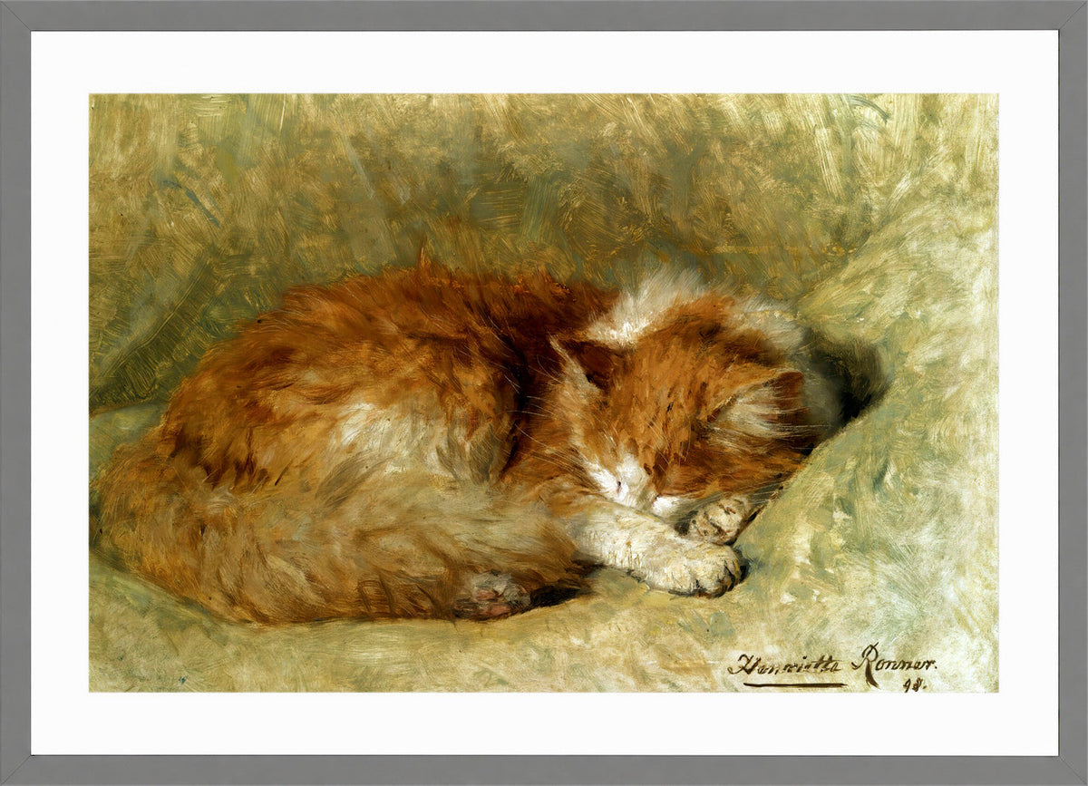 A Sleeping Cat (1898) by Henriette Ronner-Knip β light grey frame