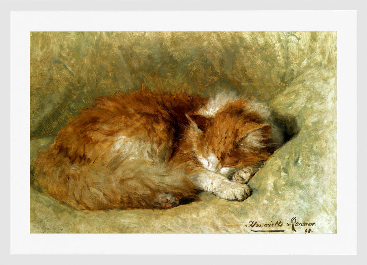 A Sleeping Cat (1898) by Henriette Ronner-Knip β white frame