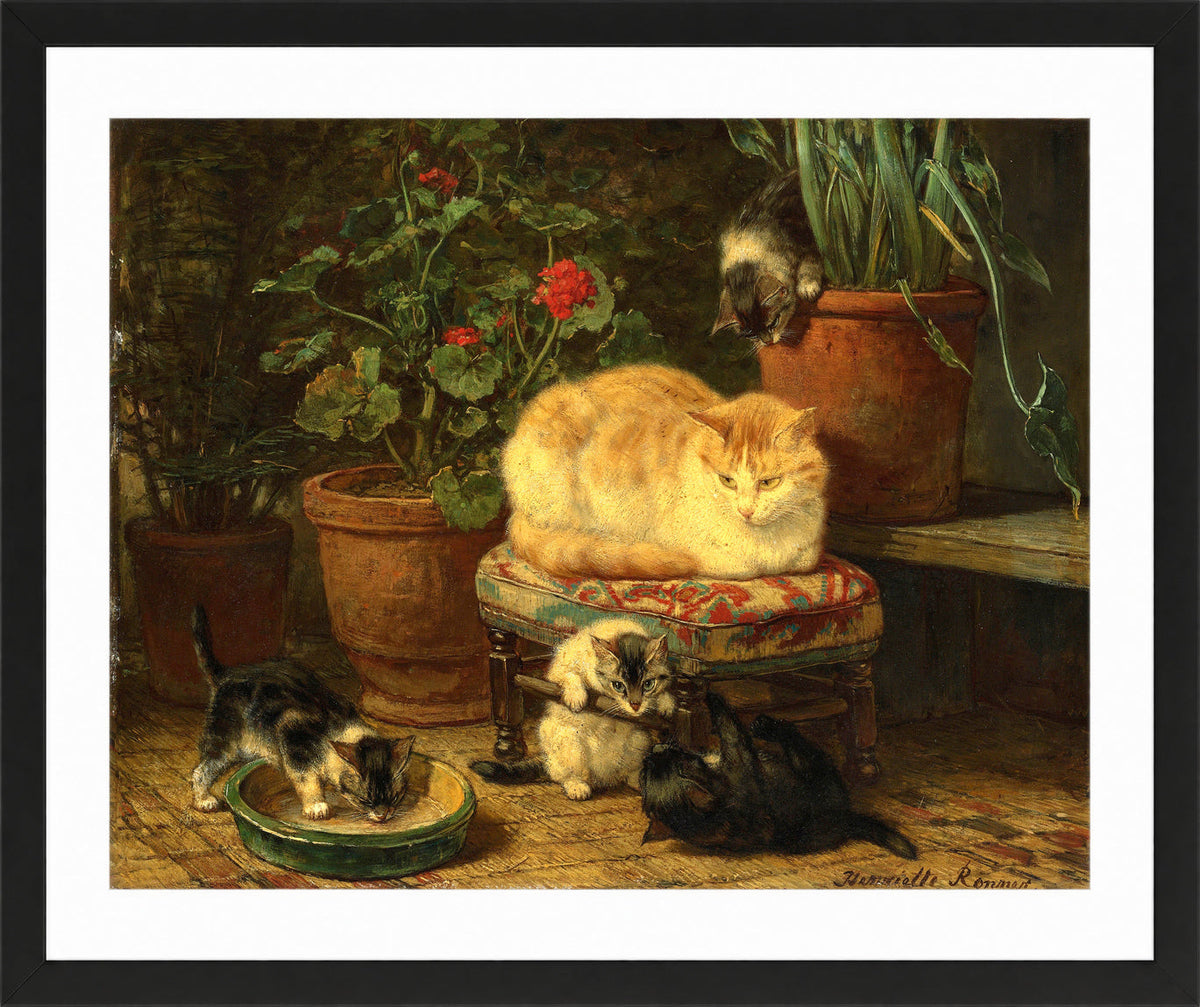 Kittens at Play β Among the Flowerpots by Henriette Ronner-Knip β black frame