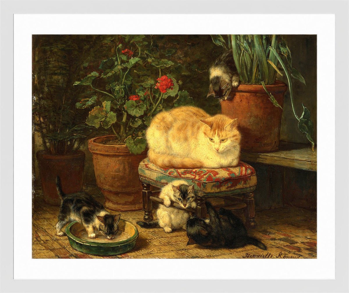 Kittens at Play β Among the Flowerpots by Henriette Ronner-Knip β white frame