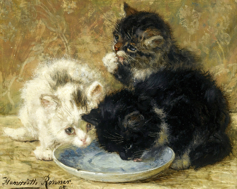 Three Kittens (1895) by Henriette Ronner-Knip β unframed