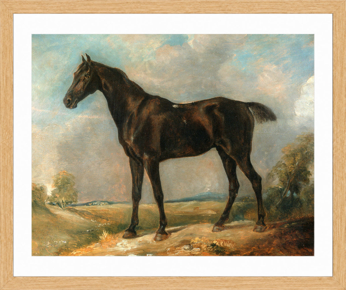 John Constable Print, Golding Constable’s Black Riding-Horse in an oak frame