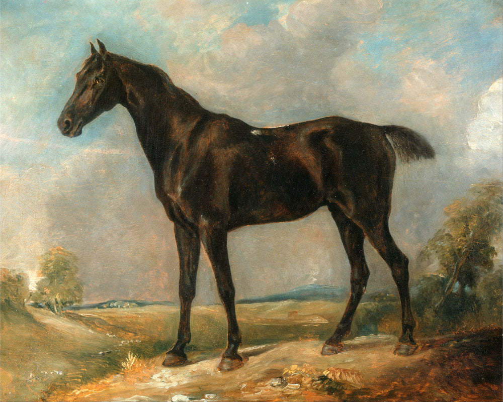 John Constable Print, Golding Constable’s Black Riding-Horse as an unframed print