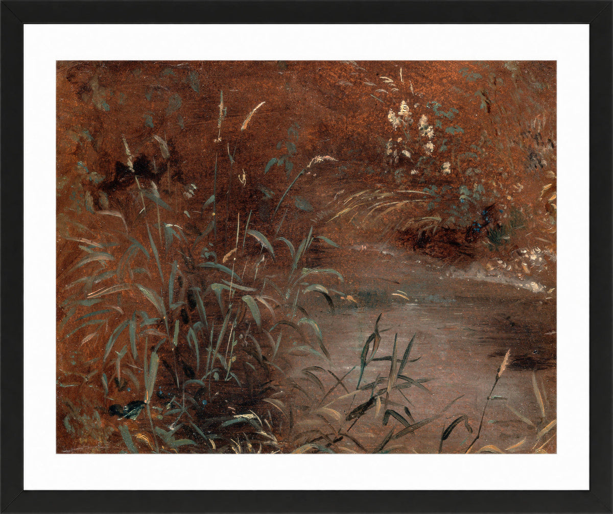 John Constable Print, Rushes by a pool (ca in a black frame