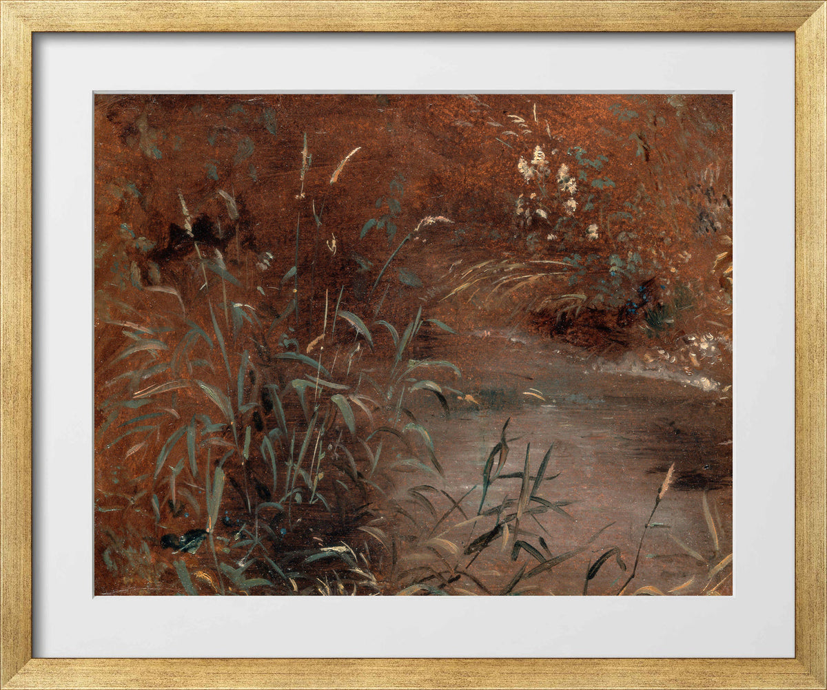 John Constable Print, Rushes by a pool (ca in a gold frame