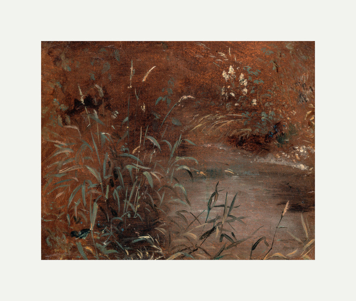 John Constable Print, Rushes by a pool (ca with an off-white border for rolled canvas